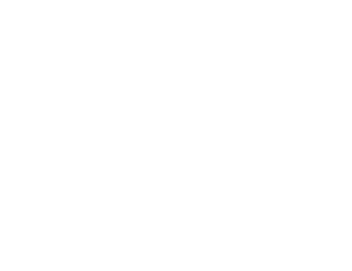 Bidview
